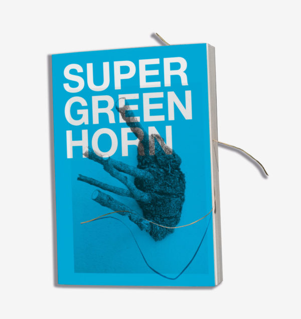 erik-steinbrecher-super-green-horn-limited-book-jrp-edition