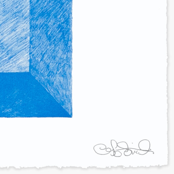 landscape-growth-panel-warm-celestial-blue-jrp-editions-mamco-signature-artist